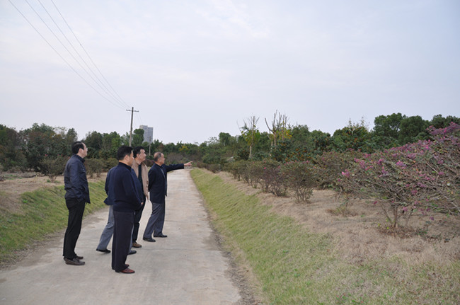 20151103112449_8906 J9直营集团【中国区】官方网站